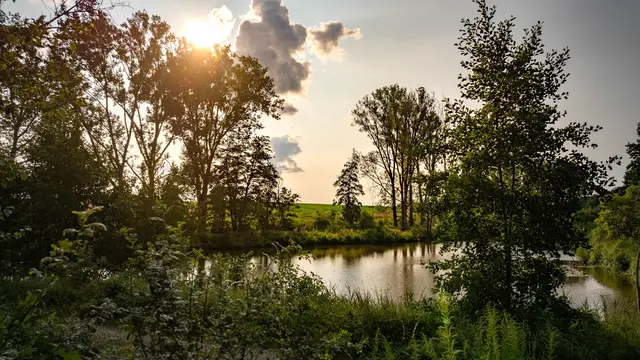 Abendstimmung am Naturlehrpfad