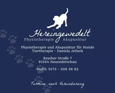 Bild zu Hereingewedelt - Physiotherapie für Hunde